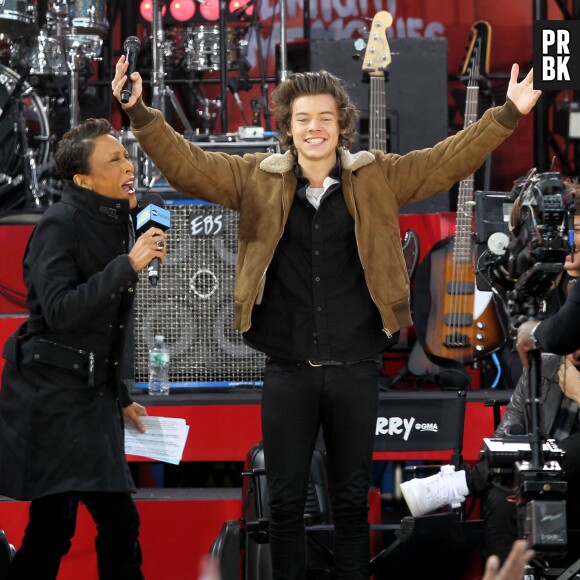 Harry Styles : sur scène à New-York, le 26 novembre 2013