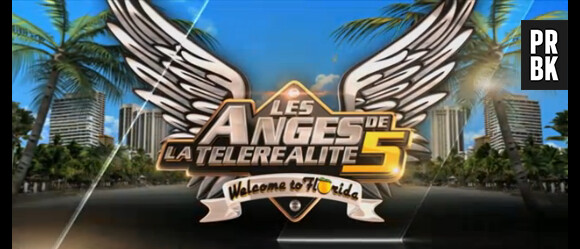 Lauriers TV Awards 2014 : Les Anges finaliste de la Meilleure télé-réalité de vie en communauté