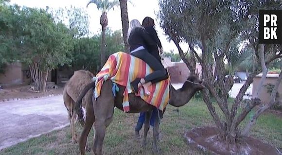 Allo Nabilla : Nabilla Benattia et Anaïs rencontrent deux dromadaires