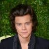 Harry Styles : test réussi face au père de Kendall Jenner