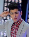 Zayn Malik : Perrie Edwards lui offre un voyage à Disneyland Paris pour ses 21 ans