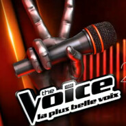 The Voice 3 : Mika, nouvelle épreuve... retour sur les nouveautés de la saison