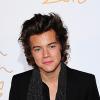 Harry Styles en solo sur le tapis rouge des British Fashion Awards 2013