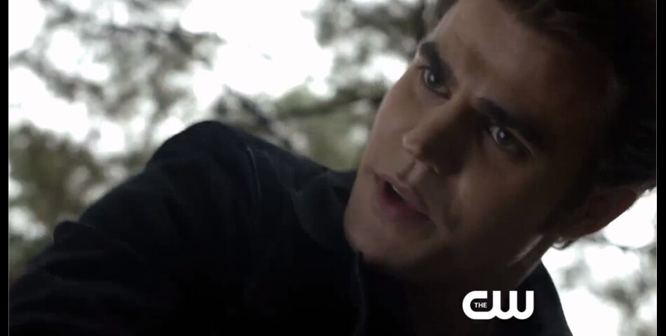 Vampire Diaries saison 5, épisode 13 : Stefan prêt à tout pour protéger Damon dans la bande-annonce
