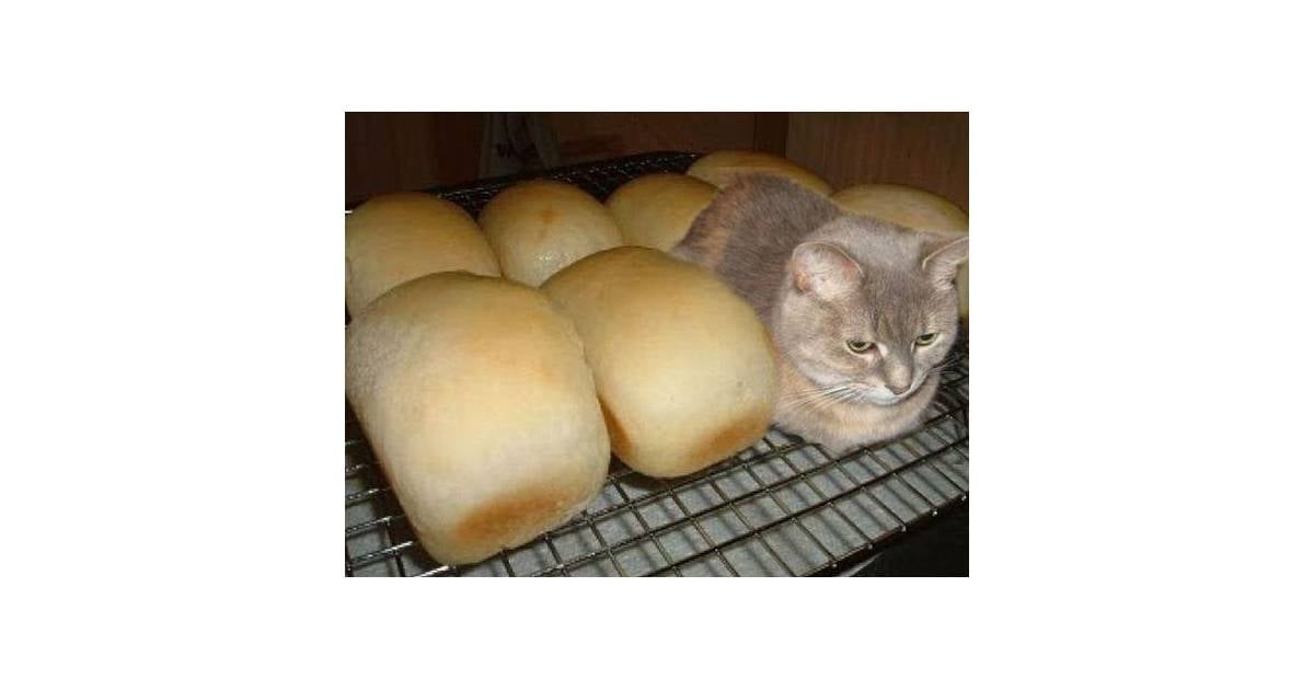 истинное лицо человека проявляется когда. наверно подумаю. наверно подумаю. трахер вк. наверно подумаю.