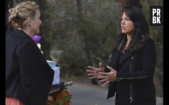 Grey's Anatomy saison 10, épisode 13 : Arizona et Callie en plein débat