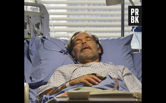 Grey's Anatomy saison 10, épisode 13 : James Remar dans la peau du père d'Alex