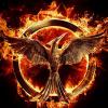 Hunger Games 3 : l'affiche teaser française