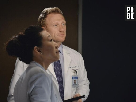Grey's Anatomy : Owen et Cristina sur une photo