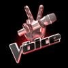 The Voice : qui sera la grand gagnant à l'issue de la finale diffusée sur TF1 ?