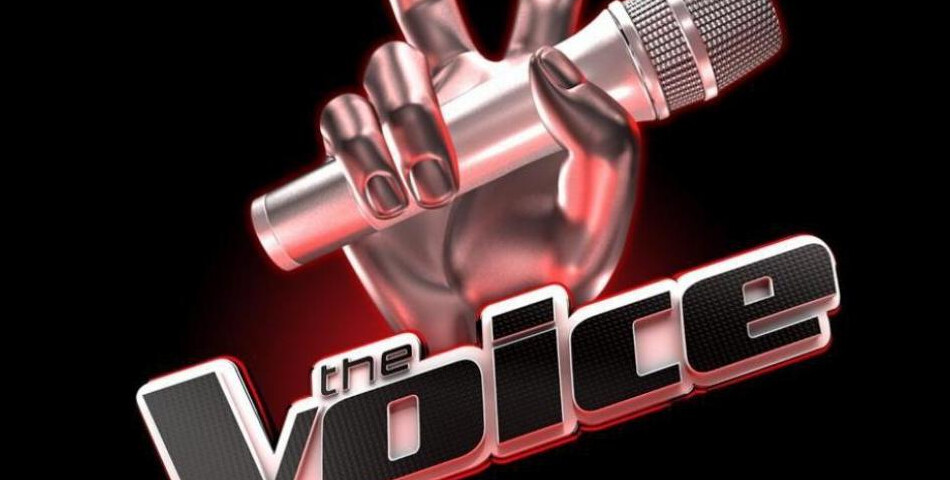  The Voice : qui sera la grand gagnant à l&#039;issue de la finale diffusée sur TF1 ? 