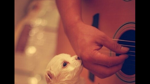 Eminem, C2C, Janet Jackson, Azealia Banks... #Playlist #51