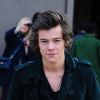 Harry Styles : le One Direction aide un Américain à faire sa demande en mariage