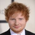  Ed Sheeran : il réalise le rêve d'une femme malade 