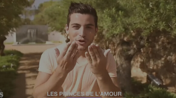 Les Princes de l'amour 2: Charles, Florent... stars d'une nouvelle bande-annonce