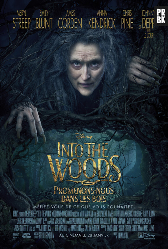 Into the Woods : l'affiche officielle avec Meryl Streep