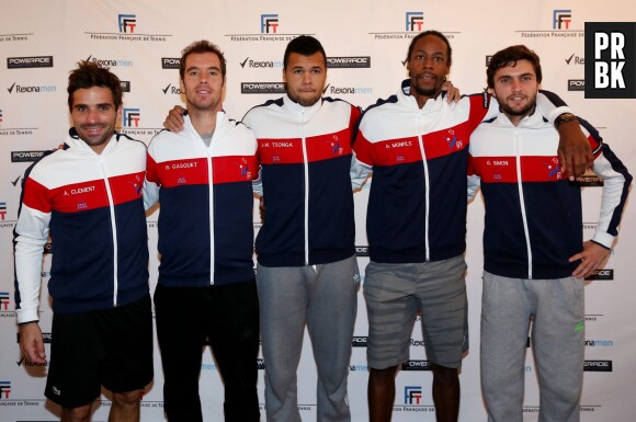 Richard Gasquet, Jo-Wilfried Tsonga, Gaël Monfils... l'équipe de France a perdu la Coupe Davis 2014