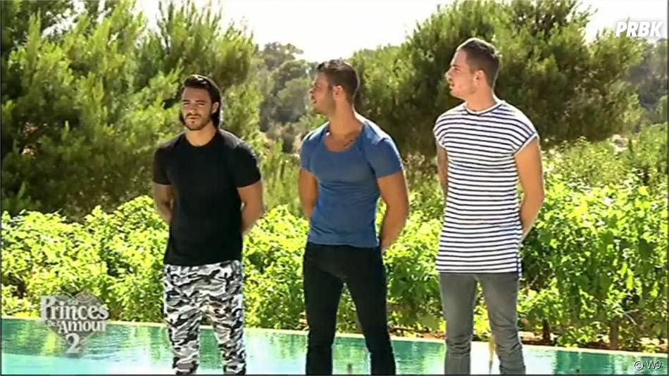 Prince De L Amour Saison 2 Les Princes de l'amour 2 : les garçons surpris par le retour d'Anaïs