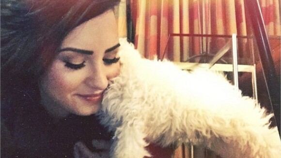 Demi Lovato : un bébé à poils trop mignon pour Noël
