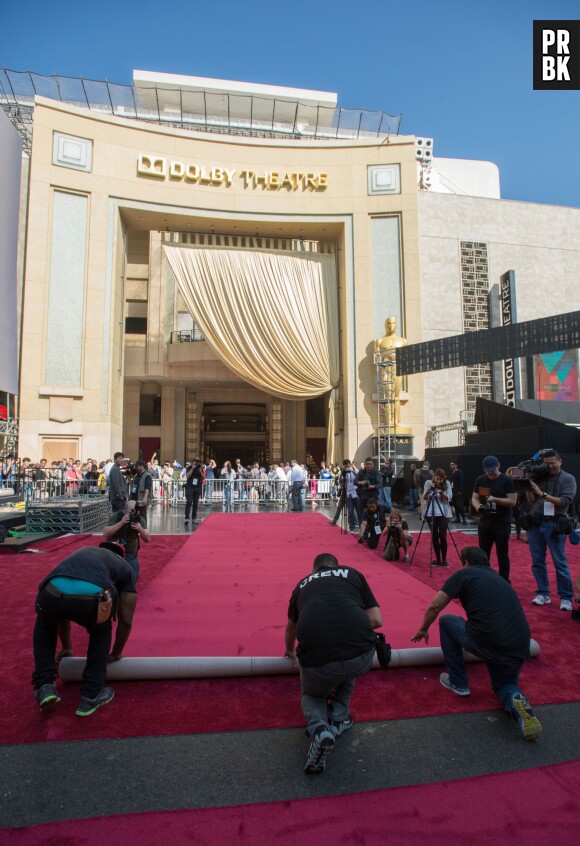 Oscars 2015 : à l'entrée du Dolby Theatre, le tapis rouge est séparé en deux