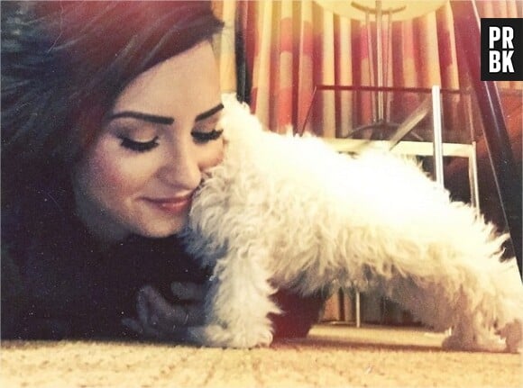 Demi Lovato et son petit chien, reçu en cadeau pour Noël 2014
