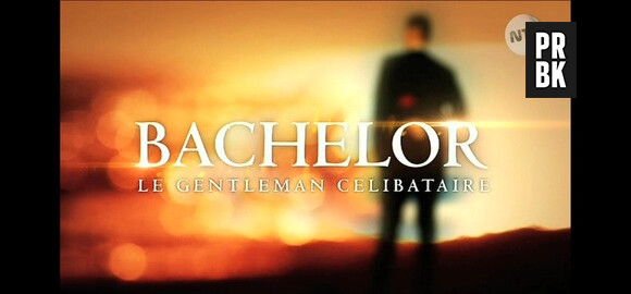 Le Bachelor 2015 : le nouveau gentleman célibataire est "très beau et sincère"