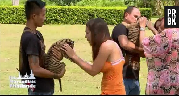Kim (Les Marseillais en Thaïlande) et un bébé tigre, dans l'épisode du 9 avril 2015 sur W9