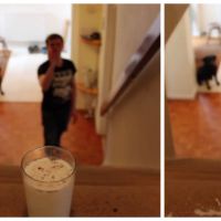 Quand ce YouTubeur mange du lait et des Oréo, c&#039;est très spectaculaire