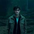 Harry Potter : un acteur oscarisé au casting du spin-off ?