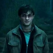 Harry Potter : un acteur oscarisé pour le spin-off ?