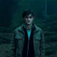 Harry Potter : un acteur oscarisé pour le spin-off ?