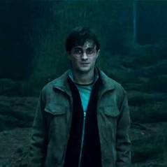 Harry Potter : un acteur oscarisé pour le spin-off ?