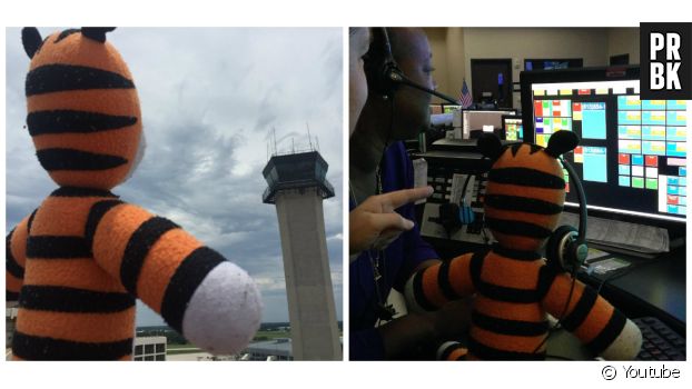 Un reportage sur l&#039;aéroport de Tampa en Floride où les employés ont pris soin de la peluche Hobbes pendant l&#039;absence de son propriétaire.