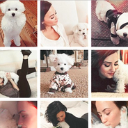 Demi Lovato de retour sur Instagram après le drame : &quot;La semaine la plus douloureuse de ma vie&quot;
