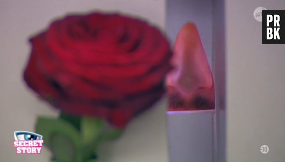 Nicolas (Secret Story 9) : une rose comme indice sur son secret révélé dans la quotidienne du 8 septembre 2015 sur NT1