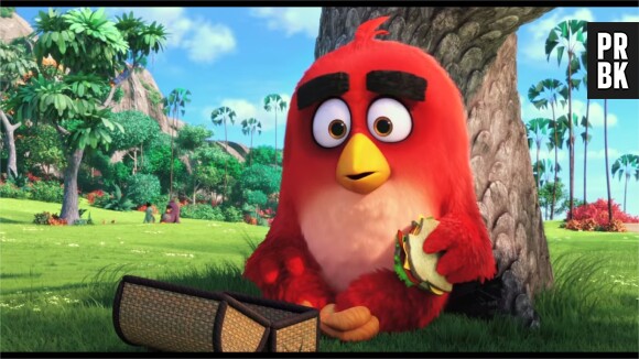 Angry Birds : la sortie du film au cinéma est prévue pour l'été 2016