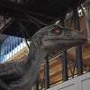 Comic Con Paris 2015 : les dinos de Jurassic World