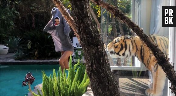 Kendall Jenner : ultra sexy en requin dans une vidéo délirante