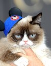 Grumpy Cat a désormais son double de cire au musée Madame Tussauds de San Francisco