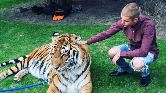 Justin Bieber pose avec un tigre, la PETA voit rouge