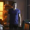 The Vampire Diaries saison 8 : Ian Somerhalder annonce le retour de Nina Dobrev