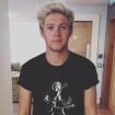 Niall Horan : son coup de gueule contre un fan sur Twitter ?