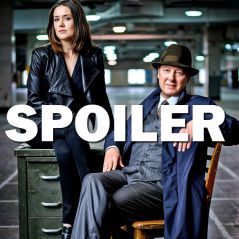 Blacklist saison 4 : la vérité sur Red enfin dévoilée ?