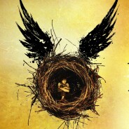 Harry Potter et l&#039;enfant maudit : nouvelle trilogie au cinéma avec Daniel Radcliffe ?