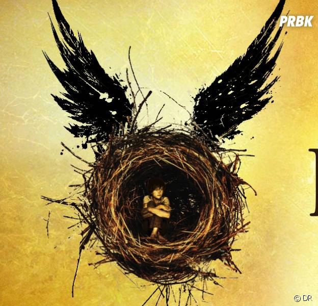 Harry Potter : la pièce de théâtre "The Cursed Child" bientôt au cinéma avec Daniel Radcliffe ?