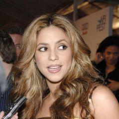Shakira, la photo fail ? Mais quel est cet objet qui choque la Toile ? 🍆