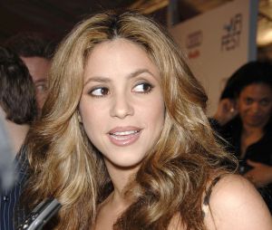 Shakira : Une photo d'elle affole la Toile !