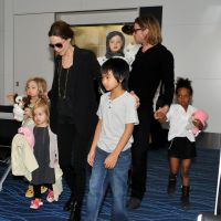 Divorce d'Angelina Jolie et Brad Pitt : même le Dalaï Lama est triste et inquiet