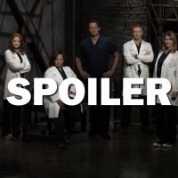 Grey&#039;s Anatomy saison 13 : une rupture et de la prison, les 4 moments chocs de l&#039;épisode 9
