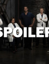 Grey's Anatomy saison 13 : bientôt un nouveau bébé ?